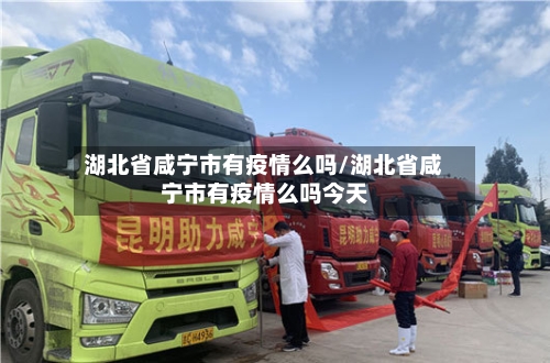 湖北省咸宁市有疫情么吗/湖北省咸宁市有疫情么吗今天-第2张图片