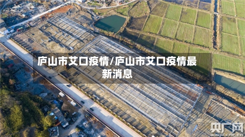 庐山市艾口疫情/庐山市艾口疫情最新消息-第2张图片