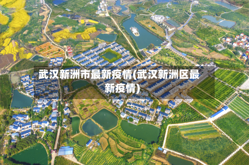 武汉新洲市最新疫情(武汉新洲区最新疫情)-第2张图片