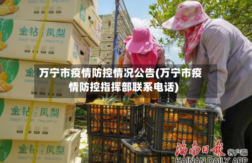 万宁市疫情防控情况公告(万宁市疫情防控指挥部联系电话)-第2张图片