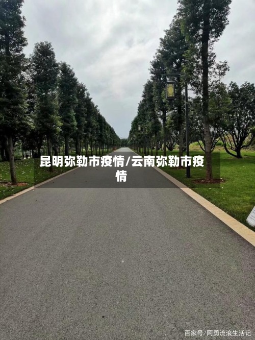昆明弥勒市疫情/云南弥勒市疫情-第2张图片