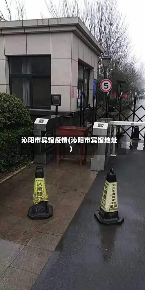 沁阳市宾馆疫情(沁阳市宾馆地址)-第1张图片