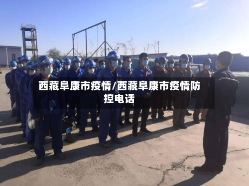 西藏阜康市疫情/西藏阜康市疫情防控电话-第3张图片