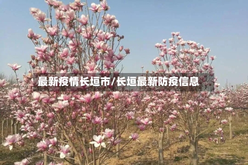 最新疫情长垣市/长垣最新防疫信息-第1张图片