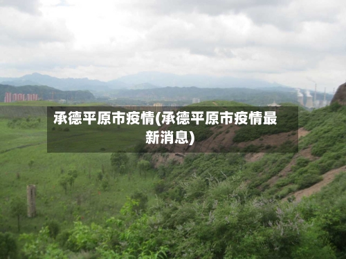 承德平原市疫情(承德平原市疫情最新消息)-第3张图片