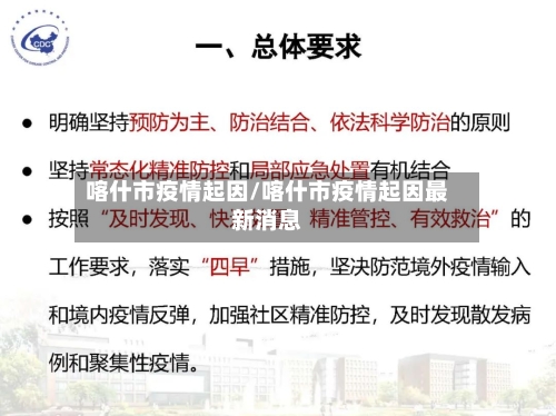 喀什市疫情起因/喀什市疫情起因最新消息-第2张图片