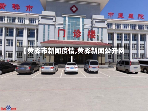 【黄骅市新闻疫情,黄骅新闻公开网】-第3张图片