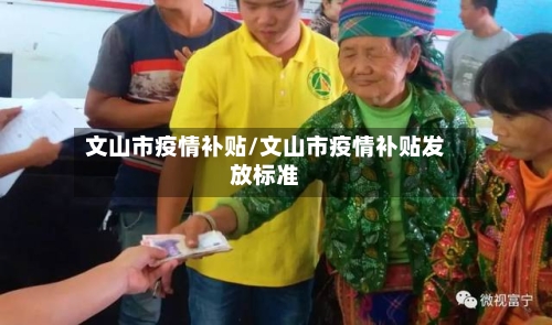 文山市疫情补贴/文山市疫情补贴发放标准-第2张图片