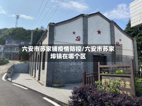 六安市苏家铺疫情防控/六安市苏家埠镇在哪个区-第3张图片