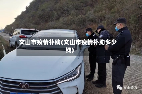 文山市疫情补助(文山市疫情补助多少钱)-第1张图片