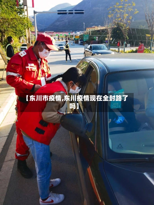 【东川市疫情,东川疫情现在全封路了吗】-第2张图片