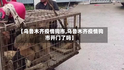 【乌鲁木齐疫情狗市,乌鲁木齐疫情狗市开门了吗】-第2张图片