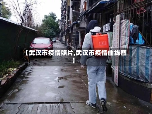 【武汉市疫情照片,武汉市疫情曲线图】-第2张图片