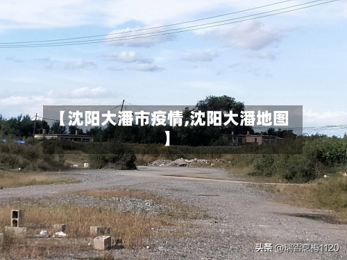 【沈阳大潘市疫情,沈阳大潘地图】-第2张图片