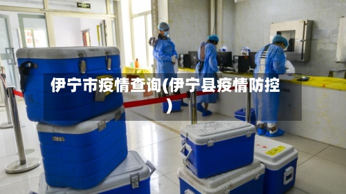 伊宁市疫情查询(伊宁县疫情防控)-第1张图片