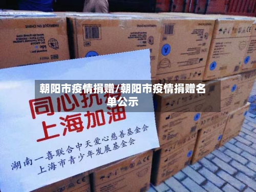 朝阳市疫情捐赠/朝阳市疫情捐赠名单公示-第2张图片