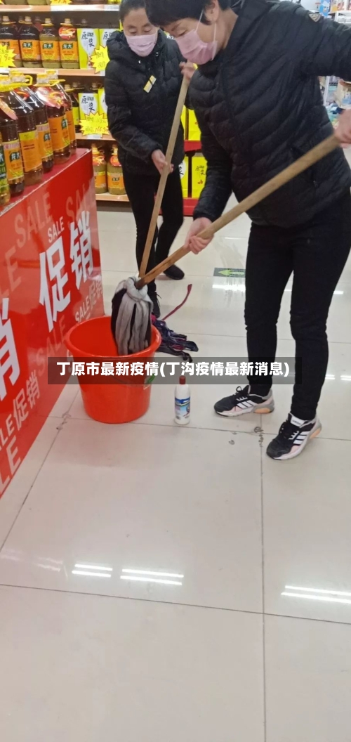 丁原市最新疫情(丁沟疫情最新消息)-第2张图片