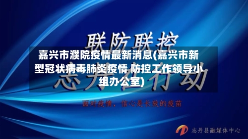 嘉兴市濮院疫情最新消息(嘉兴市新型冠状病毒肺炎疫情 防控工作领导小组办公室)-第1张图片