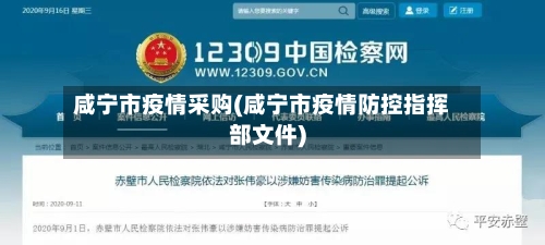 咸宁市疫情采购(咸宁市疫情防控指挥部文件)-第1张图片