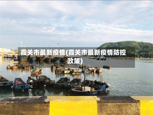 霞关市最新疫情(霞关市最新疫情防控政策)-第1张图片