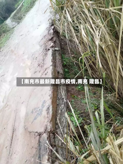 【南充市最新隆昌市疫情,南充 隆昌】-第1张图片