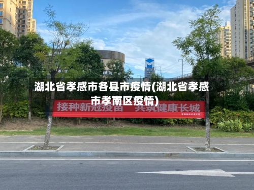 湖北省孝感市各县市疫情(湖北省孝感市孝南区疫情)-第2张图片
