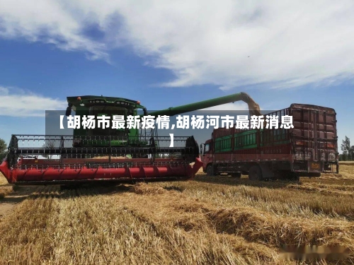 【胡杨市最新疫情,胡杨河市最新消息】-第1张图片