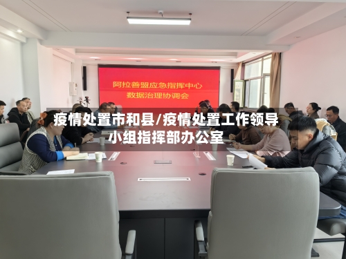 疫情处置市和县/疫情处置工作领导小组指挥部办公室-第1张图片