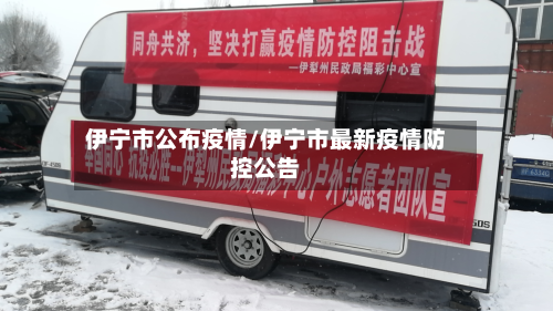 伊宁市公布疫情/伊宁市最新疫情防控公告-第2张图片