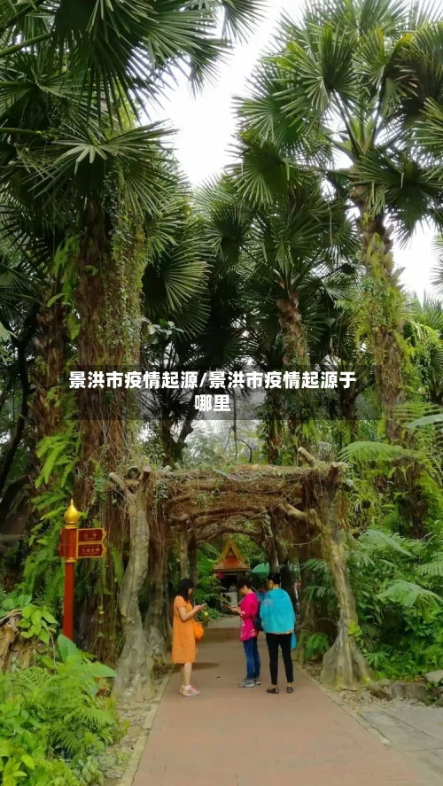 景洪市疫情起源/景洪市疫情起源于哪里-第1张图片