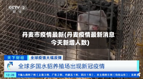 丹麦市疫情最新(丹麦疫情最新消息今天新增人数)-第1张图片