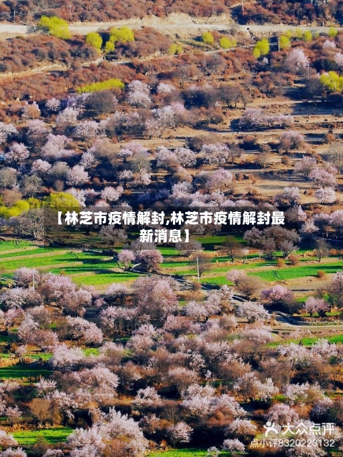 【林芝市疫情解封,林芝市疫情解封最新消息】-第1张图片