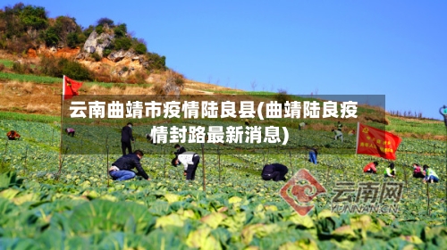 云南曲靖市疫情陆良县(曲靖陆良疫情封路最新消息)-第1张图片