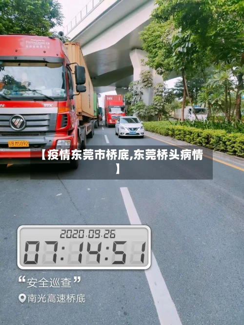 【疫情东莞市桥底,东莞桥头病情】-第2张图片
