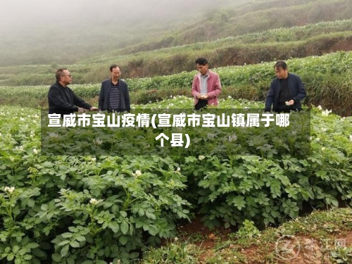 宣威市宝山疫情(宣威市宝山镇属于哪个县)-第1张图片