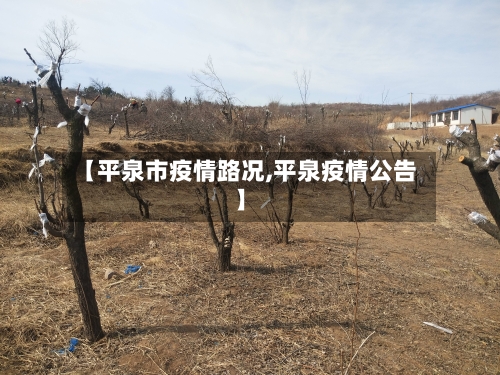 【平泉市疫情路况,平泉疫情公告】-第1张图片