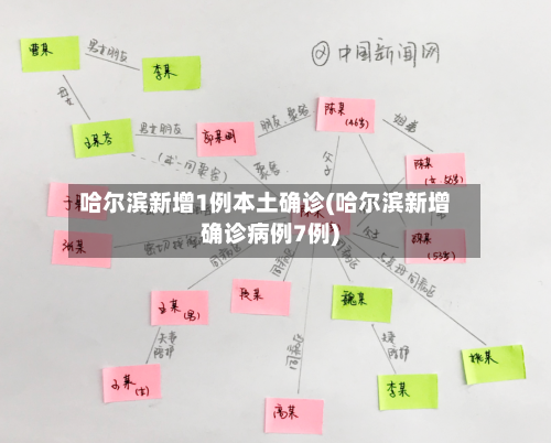 哈尔滨新增1例本土确诊(哈尔滨新增确诊病例7例)-第1张图片