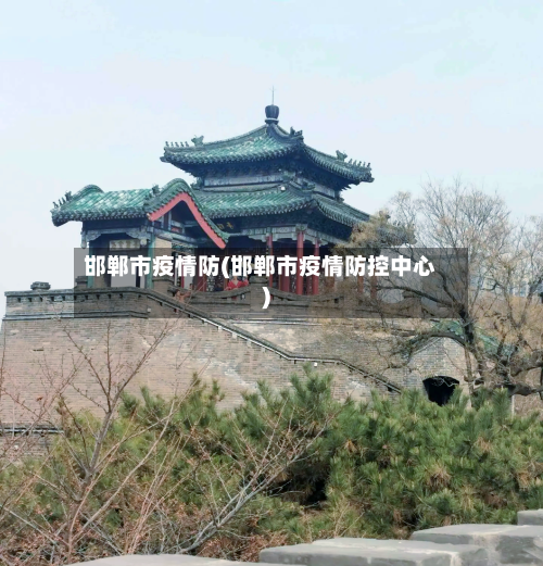 邯郸市疫情防(邯郸市疫情防控中心)-第2张图片