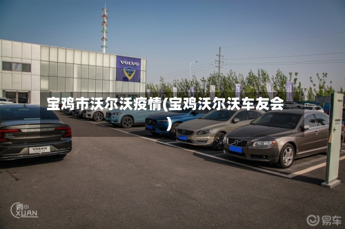 宝鸡市沃尔沃疫情(宝鸡沃尔沃车友会)-第2张图片