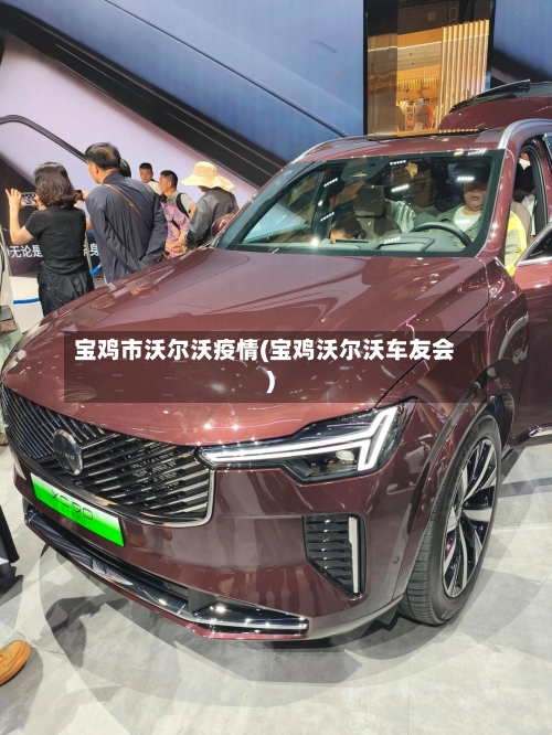 宝鸡市沃尔沃疫情(宝鸡沃尔沃车友会)-第1张图片