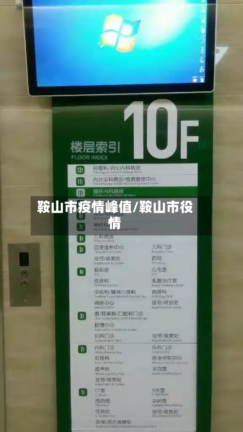 鞍山市疫情峰值/鞍山市役情-第2张图片