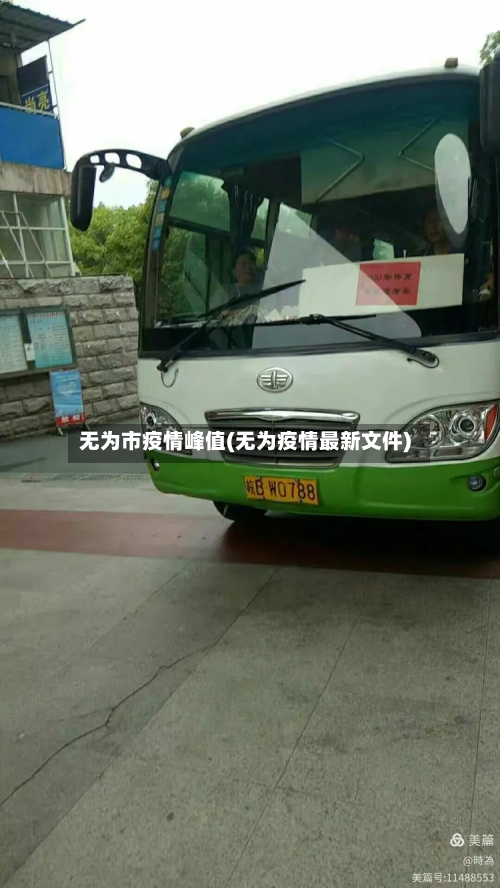 无为市疫情峰值(无为疫情最新文件)-第2张图片