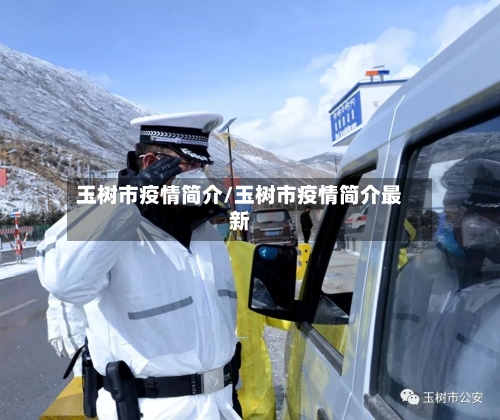 玉树市疫情简介/玉树市疫情简介最新-第2张图片