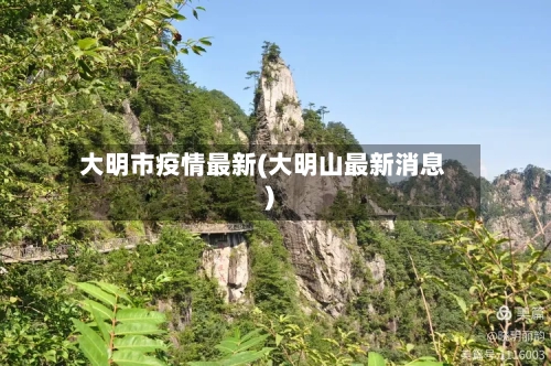 大明市疫情最新(大明山最新消息)-第3张图片
