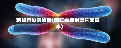 端粒市疫情通告(端粒美费用图片鼎益丰)-第1张图片