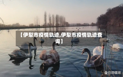 【伊犁市疫情轨迹,伊犁市疫情轨迹查询】-第3张图片