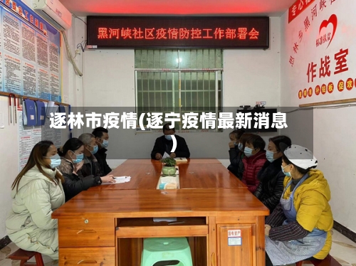 逐林市疫情(逐宁疫情最新消息)-第1张图片
