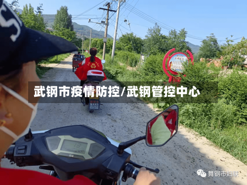 武钢市疫情防控/武钢管控中心-第1张图片