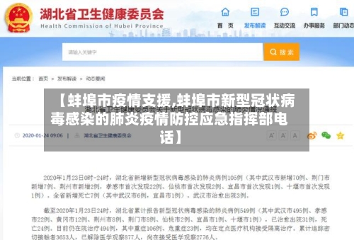 【蚌埠市疫情支援,蚌埠市新型冠状病毒感染的肺炎疫情防控应急指挥部电话】-第1张图片