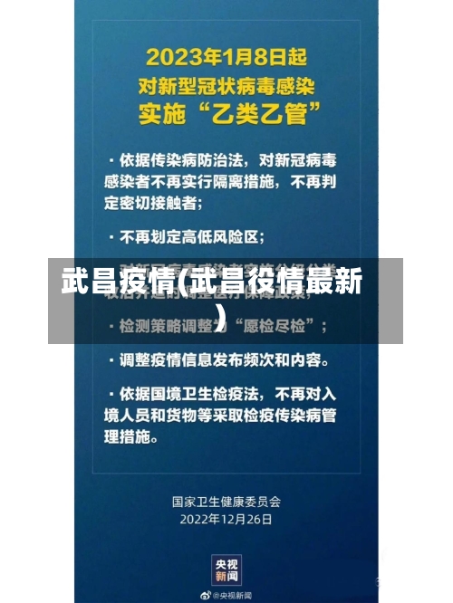 武昌疫情(武昌役情最新)-第1张图片